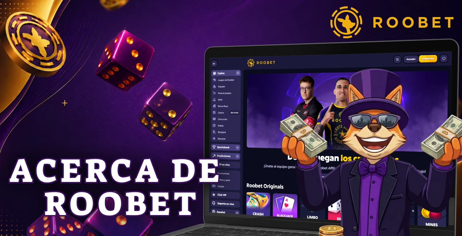 Datos clave sobre la empresa que opera la plataforma Roobet