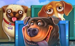 The Dog House Megaways con multiplicadores y giros dinámicos en Roobet